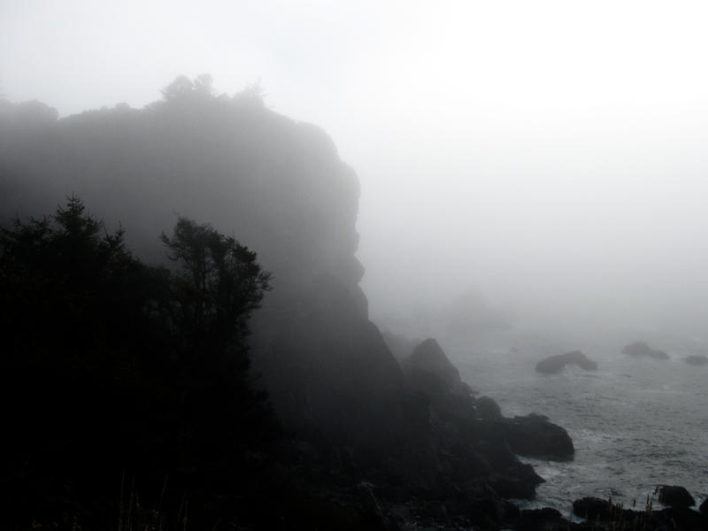 Lost Coast II.