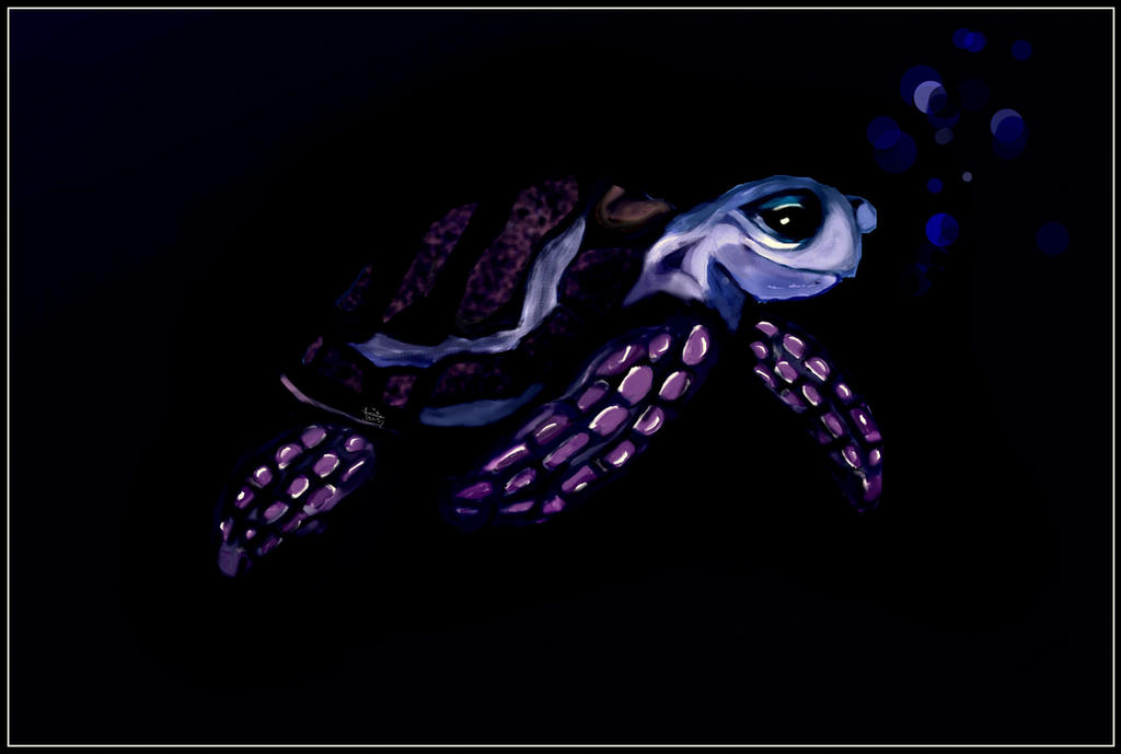 Deviantart Softshell Turtle Turtle by jabberwocky04 on DeviantArt
