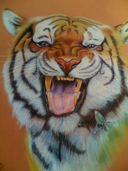 tigre