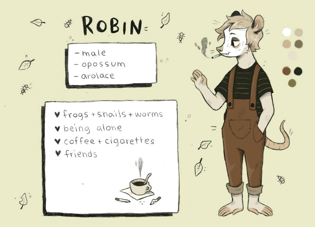 Robin Reference Sheet by ronvi on DeviantArt