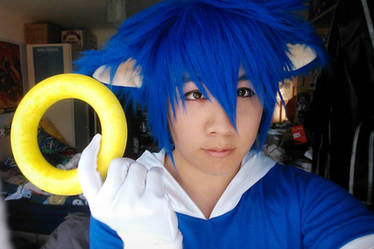 Sonic the Hedgehog