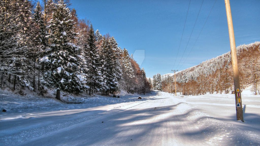 Valea Cerbului