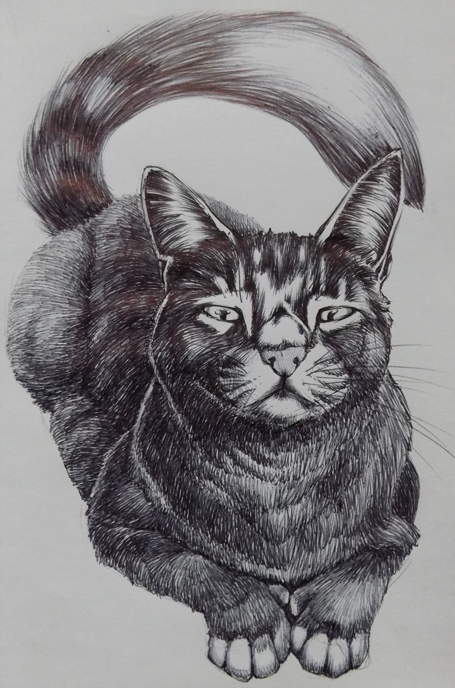 Ink Cat 2