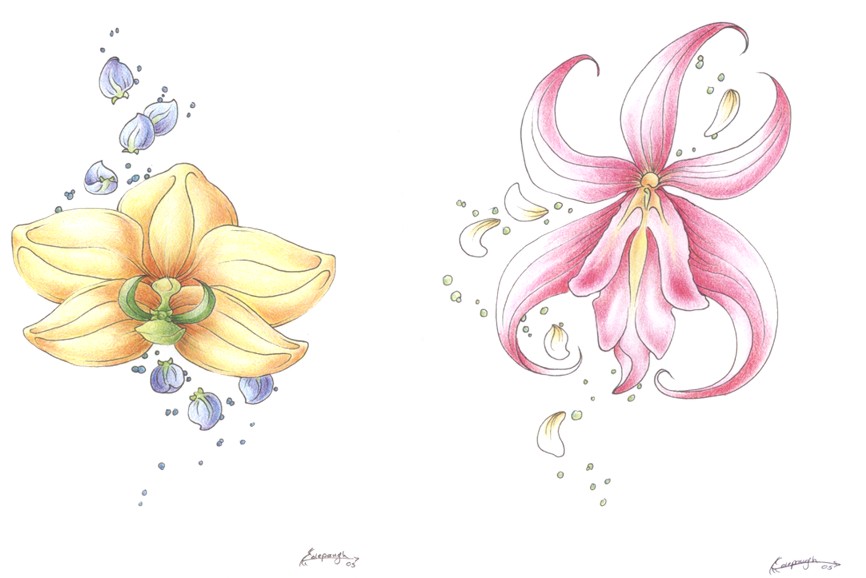 Orchid Tattoos