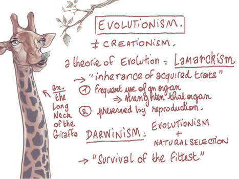 Darwinism and Evolutionism 2