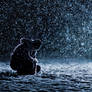 so lonesome