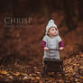 autumn walk
