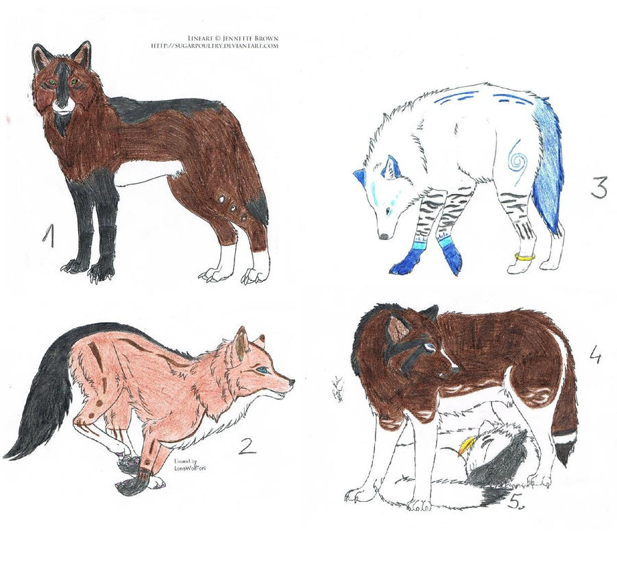 Wolf Point Adoptables (2/4 OPEN)