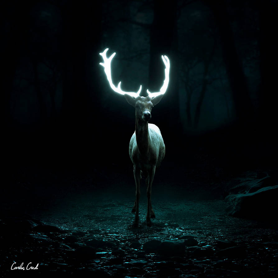 Light up the darkness. by carloscredi Light up the darkness. by carloscredi