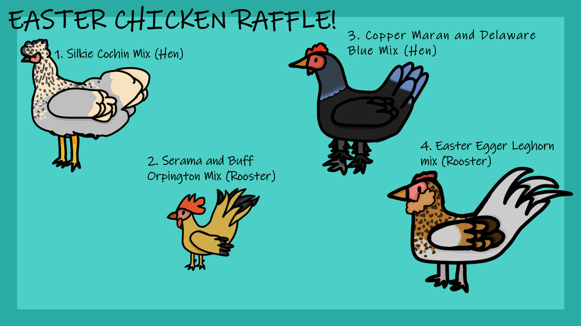 Spring Chicken Design Raffle by MistimationsArt on DeviantArt
