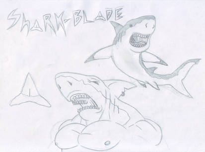 Shark-Blade Sketch