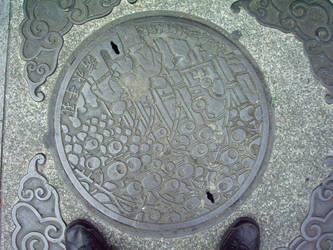 Sewage Manhole With Chinese Description