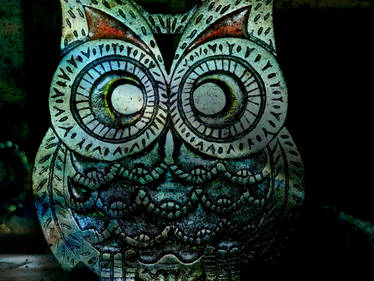 Big Eyed Owl