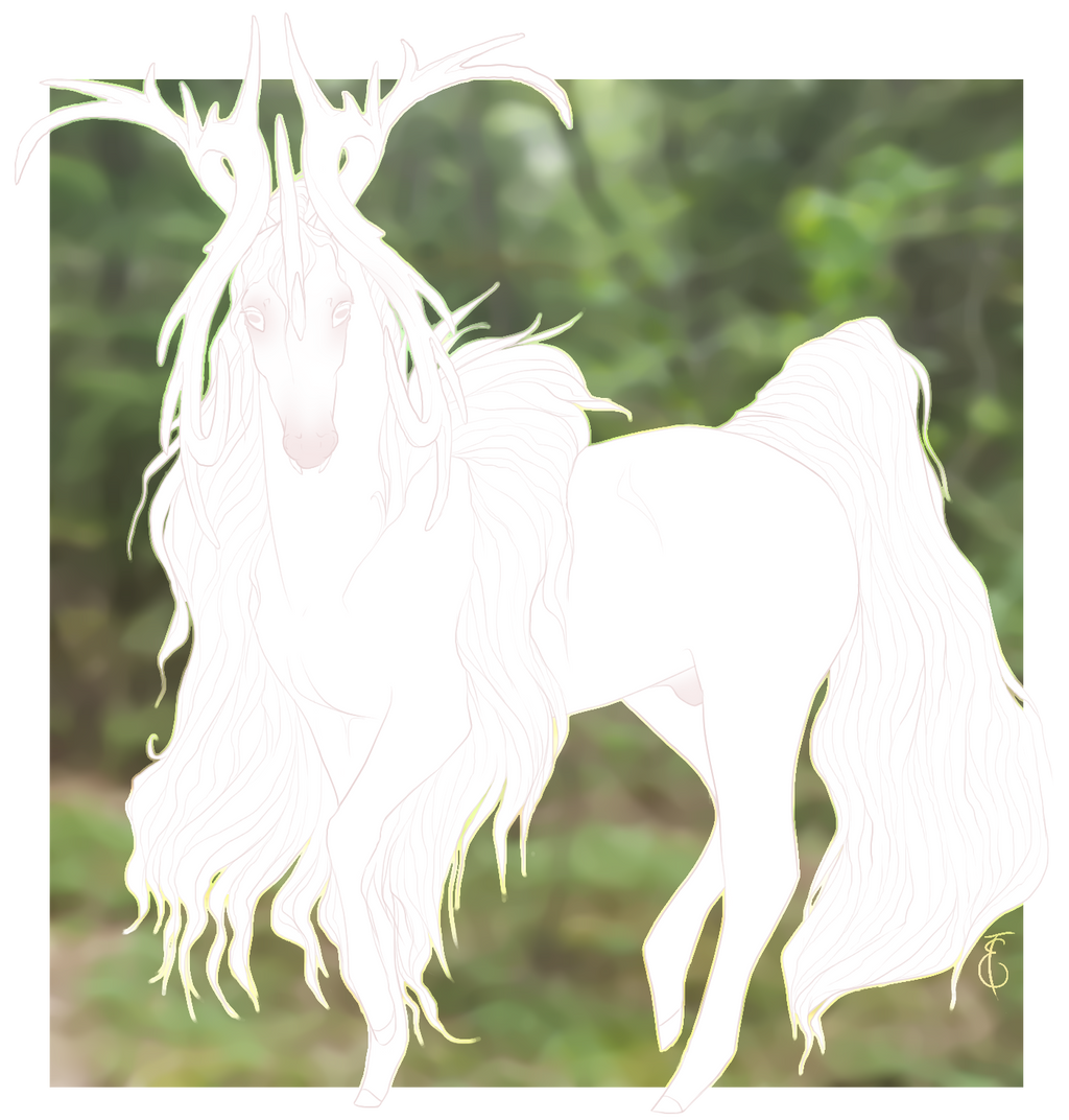 Albus