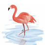 flamingo