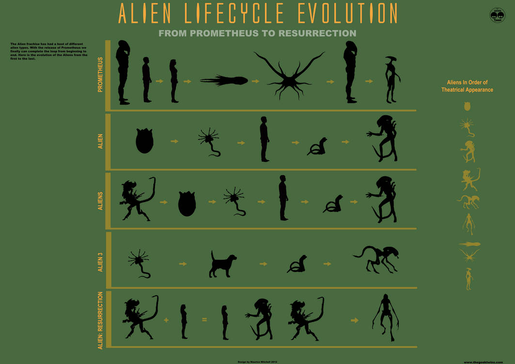 The Alien Lifecycle Evolution Infographic by mauricem on DeviantArt