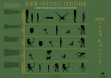 Evolution of the Alien Infographic v. 2