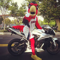 Harry the Hawk on the way to work!