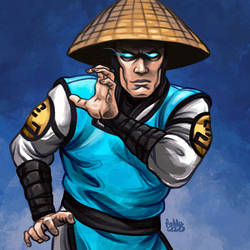 Daily Sketches Raiden by fedde