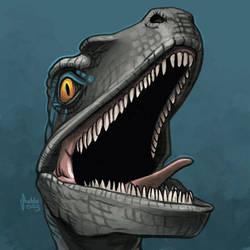 Daily Sketches Blue Raptor