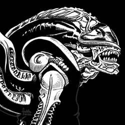 Daily Sketches Xenomorph