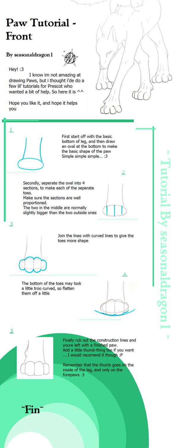 Paw Tutorial - Front by seasonaldragon1 on DeviantArt
