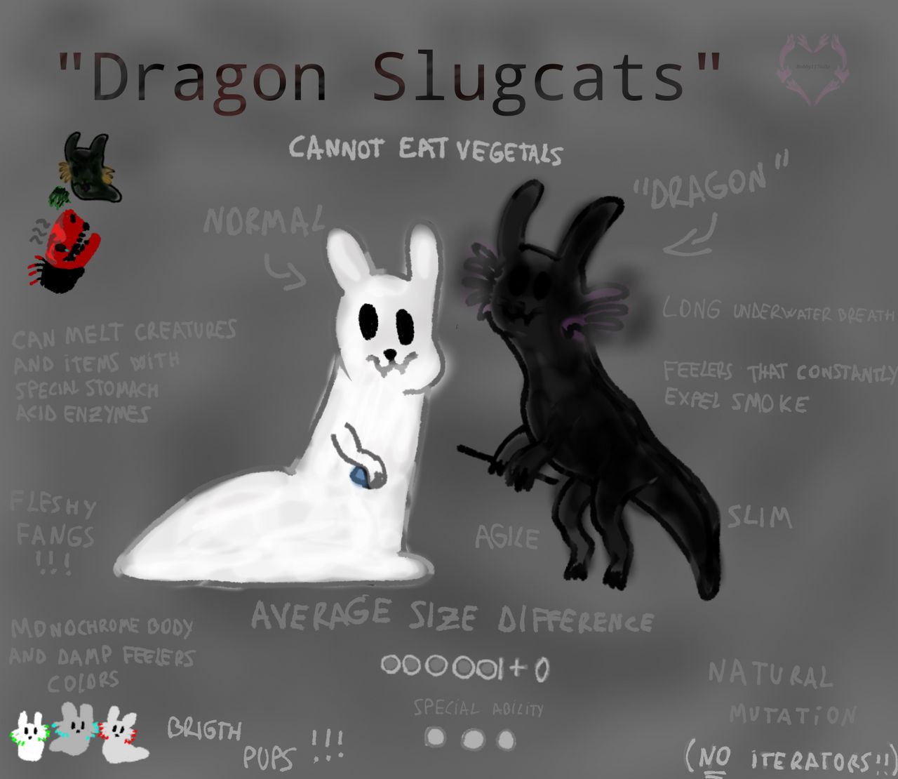 Slugcat Kind Concept: read desciption by Bobby117lollo on DeviantArt