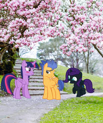 Twilight, flash And nyx sparkle on a spring walk