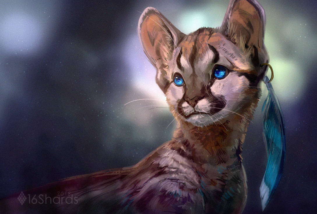 Jay by 16Shards