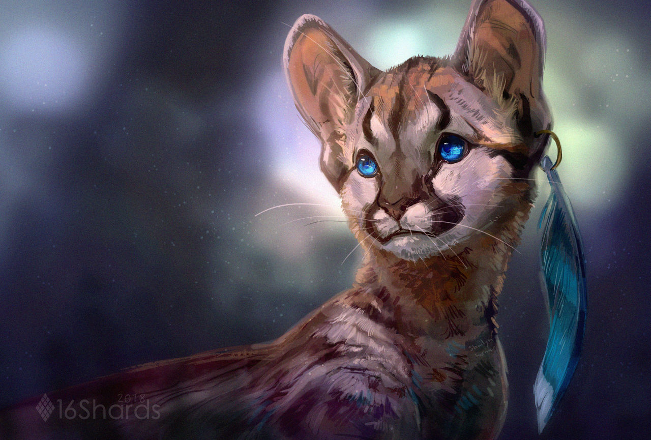 Jay by 16Shards