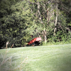 Abandoned cart