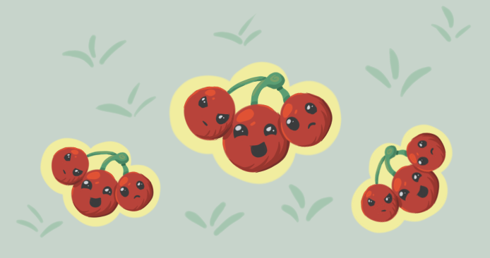 Cherries