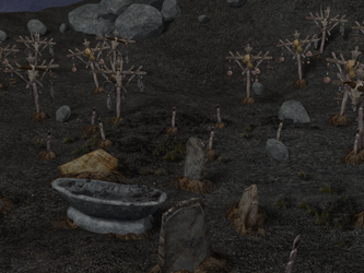 Cabanim Burial Grounds, 3D