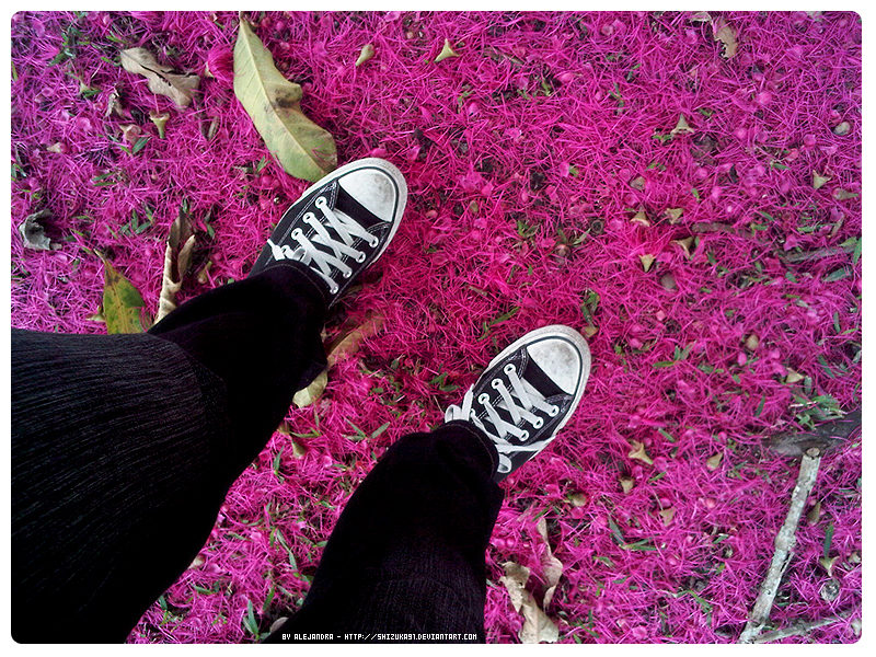 Pink carpet