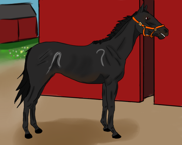 FHF Illoria's Stranger