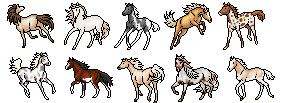 Horse Icon Adopts (4/10 OPEN)