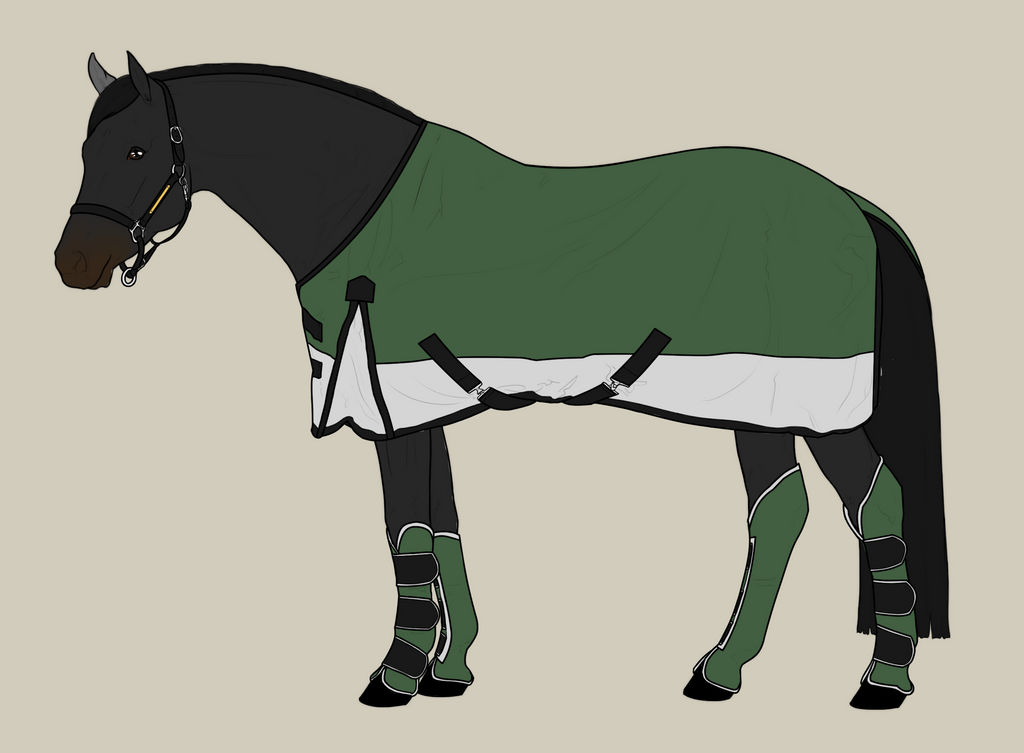 IEC Stable and Transport Equipment