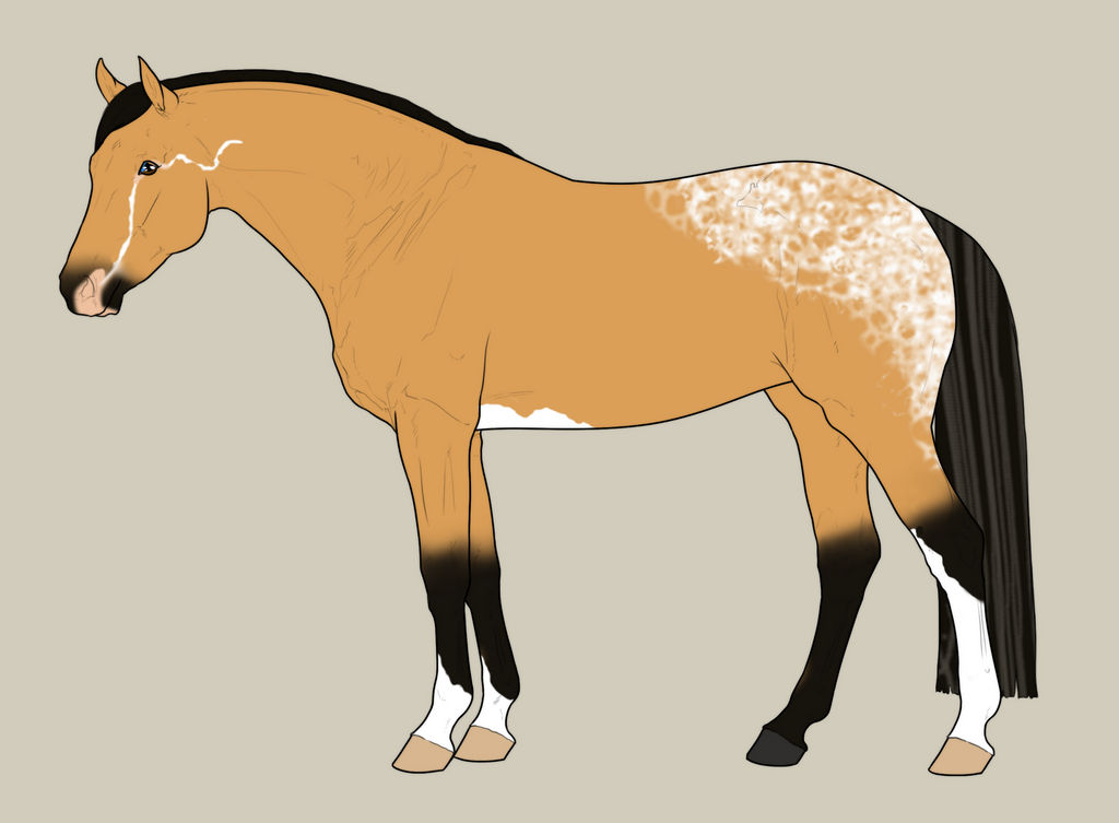 WBS Wading Through Clouds