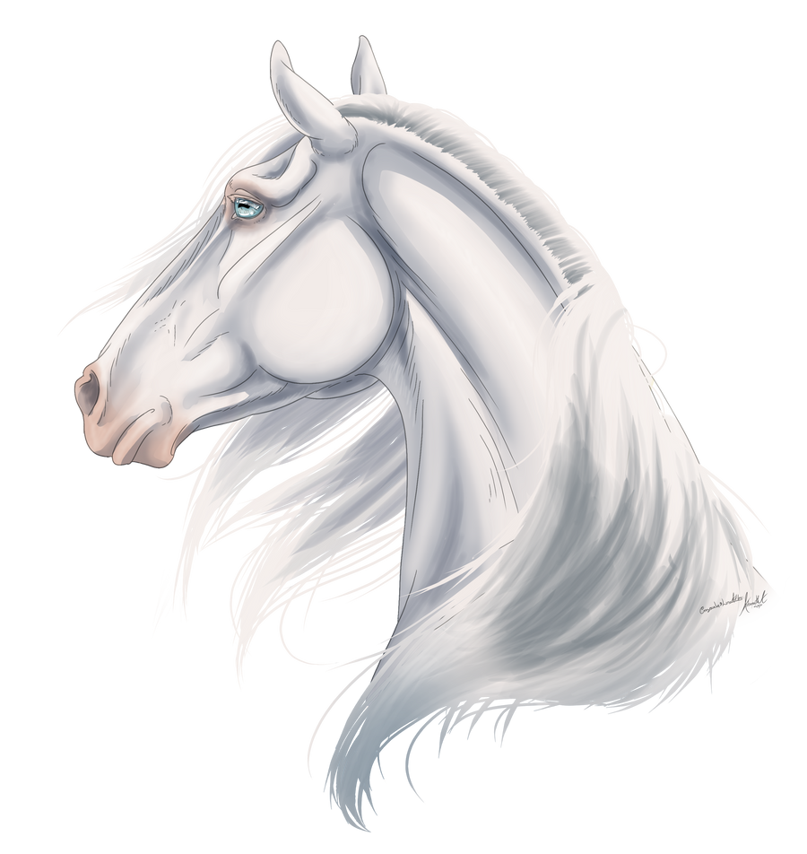 X4389 Empire of Angels