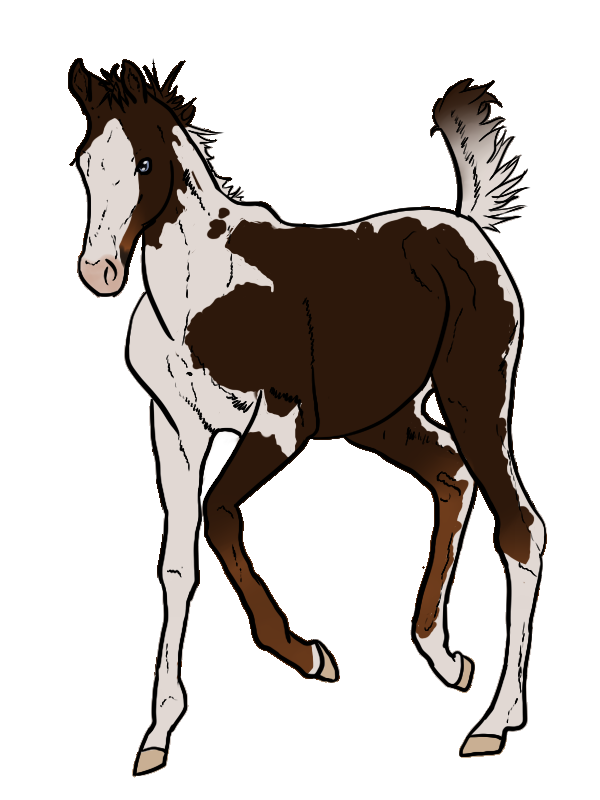 WBS Whatever It Takes