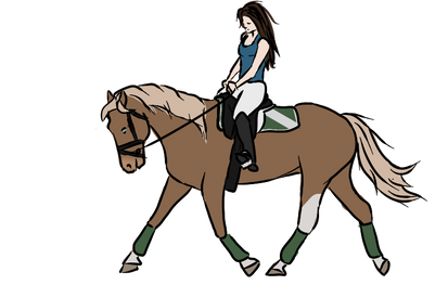 Jester Dressage Training Derp