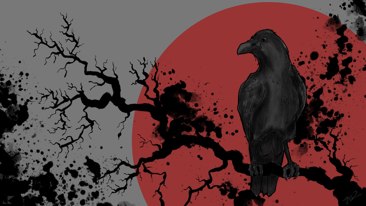 Crow Wallpaper 4k
