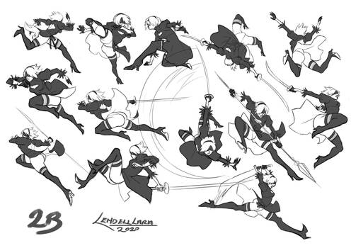 2B poses