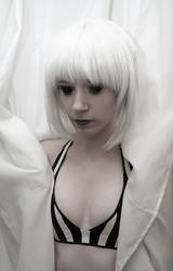 White Wig Stock3