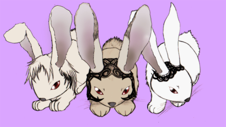 viera bunnies