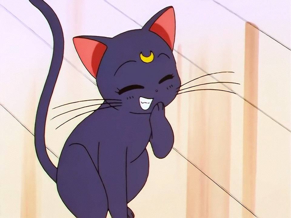 Sailor Moon Luna Giggling GIF by The876Dude on DeviantArt