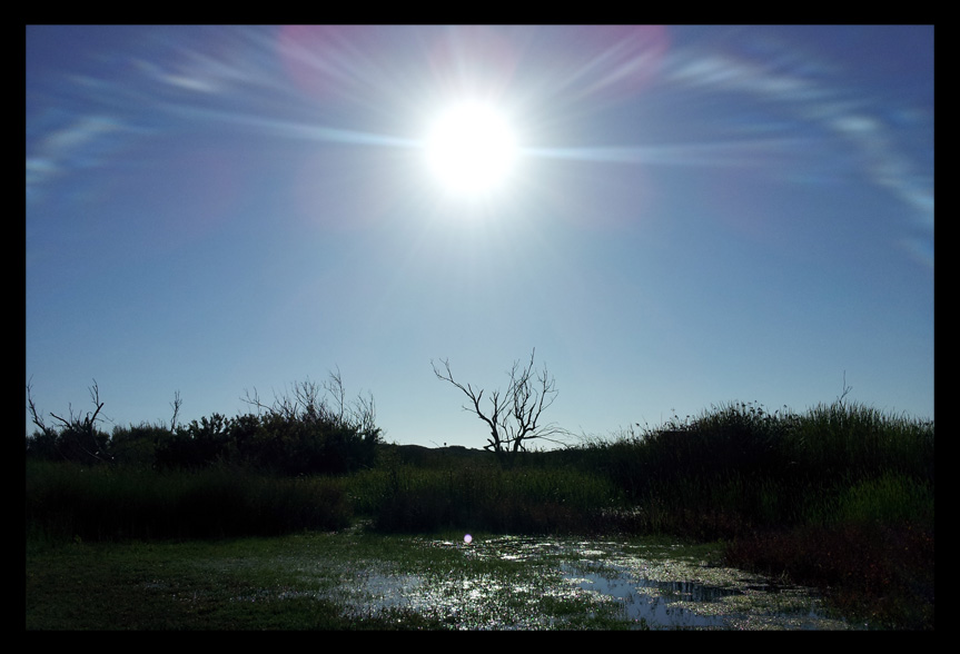 Beach Sun 1