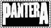 Pantera by old-mc-donald