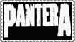 Pantera