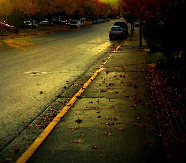 An empty street